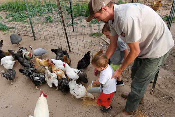 Mitchell Wardell is an Adult Advisor for the Huerfano County 4-H counci